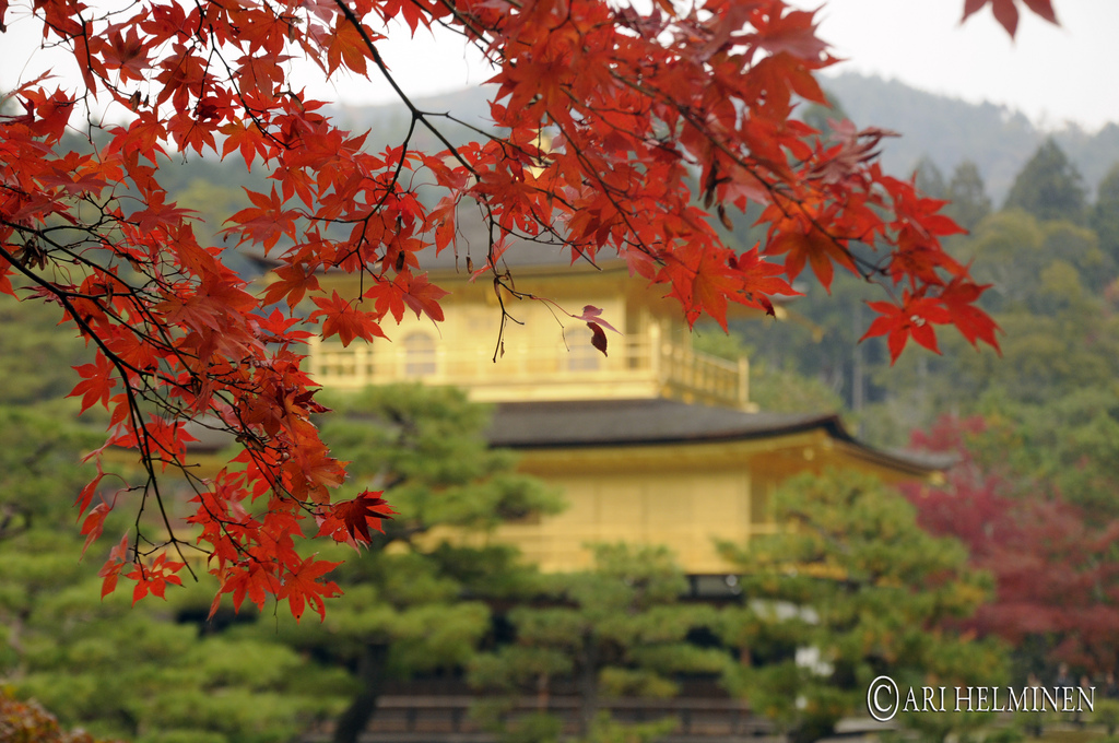 I colori della natura: alla scoperta del Giappone - Nipponbashi Matsuri